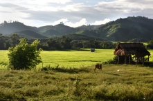 Los paisajes de Laos parecen salidos de un sueño, pero ocultan un lado desgarrador